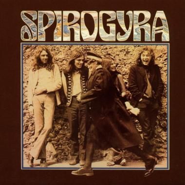 Spirogyra -  St. Radigunds